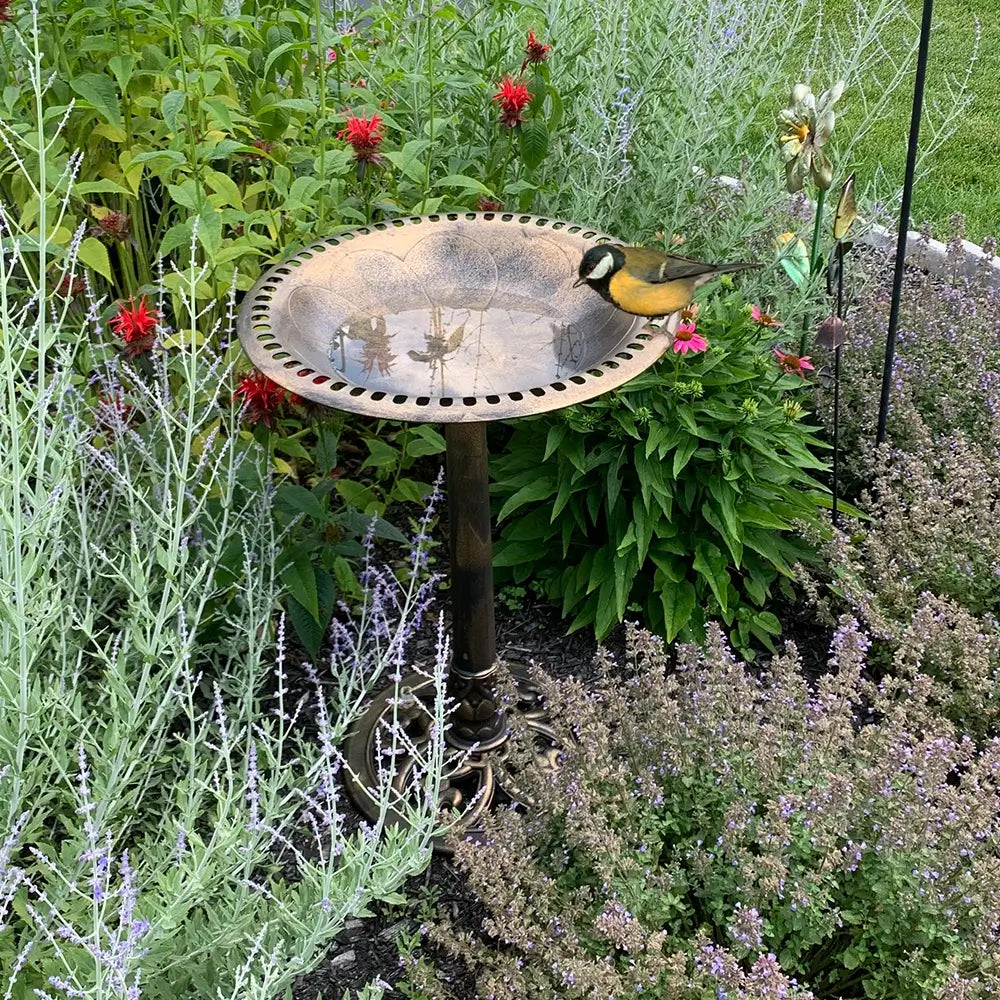 Bakyard Antique Bird Bath | For Outdoors & Garden | Polyresin 28 Inches Bird Bath